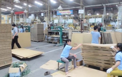 Ngành giấy khuyến cáo năng lực sản xuất bao bì đã vượt xa nhu cầu