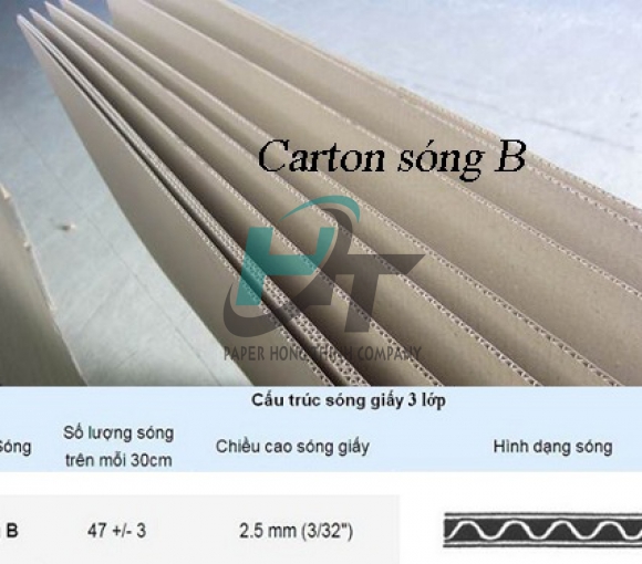 Thùng Carton 3 Lớp Sóng B