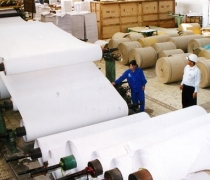 Ngành Giấy khuyến nghị nhà đầu tư cân nhắc khi rót thêm vốn vào sản xuất giấy bao bì phổ thông