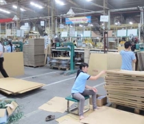 Ngành giấy khuyến cáo năng lực sản xuất bao bì đã vượt xa nhu cầu