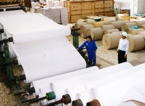Ngành Giấy khuyến nghị nhà đầu tư cân nhắc khi rót thêm vốn vào sản xuất giấy bao bì phổ thông