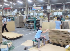 Ngành giấy khuyến cáo năng lực sản xuất bao bì đã vượt xa nhu cầu