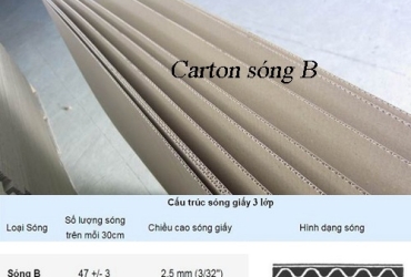 Thùng Carton 3 Lớp Sóng B