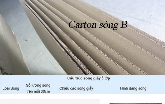Thùng Carton 3 Lớp Sóng B